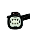 6 Pin Connector / Harness Main PNDM 6-Pin