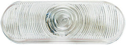 Peterson Sealed Oval Back-Up Light clear