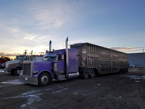 Lincoln Chrome Short 30 Cut Top Stack 8” OD X 114”