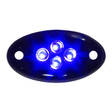 Black Blue LED Courtesy Light