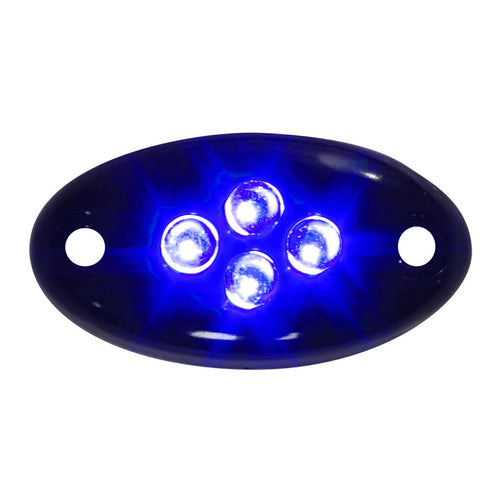 Black Blue LED Courtesy Light