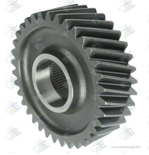 Grear 36T