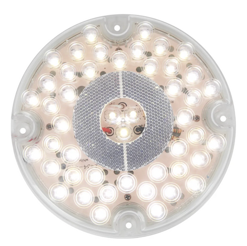 White/clear 7" Round LED Bus Light Back Up
