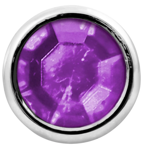 Purple Toggle Switch Extension With Color Jewel 2-1/4" KW Models & Other 3/8" Toggle Switch