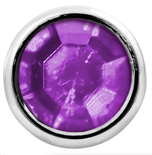 Purple Toggle Switch Extension With Color Jewel 1-7/8" KW Models & Other 3/8" Toggle Switch