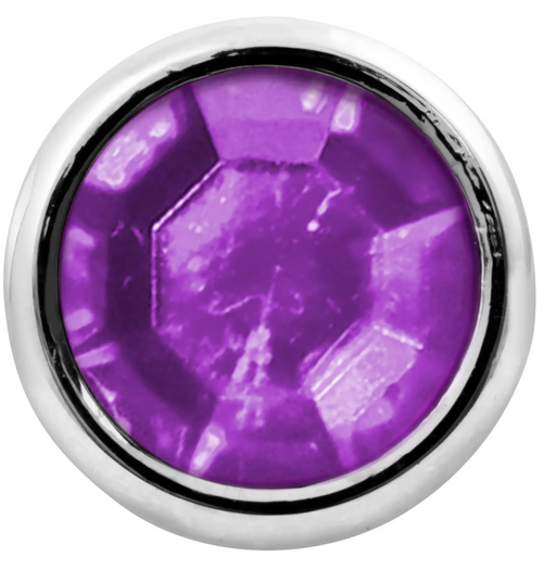 Purple Toggle Switch Extension 2-1/4 With Color Jewel 15/32" Inner Dia With Side Screw