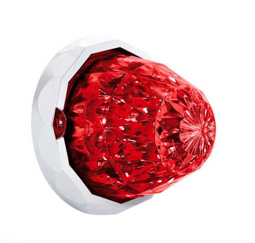 19 LED Dual Function Crystal Watermelon Light Kit With Bezel-Red LED/Red Lens