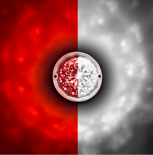 Double Fury 19 LED Dual Function Crystal Watermelon Light Kit With Bezel-Red & White LED/Clear Lens