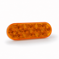 Amber / Amber Lens