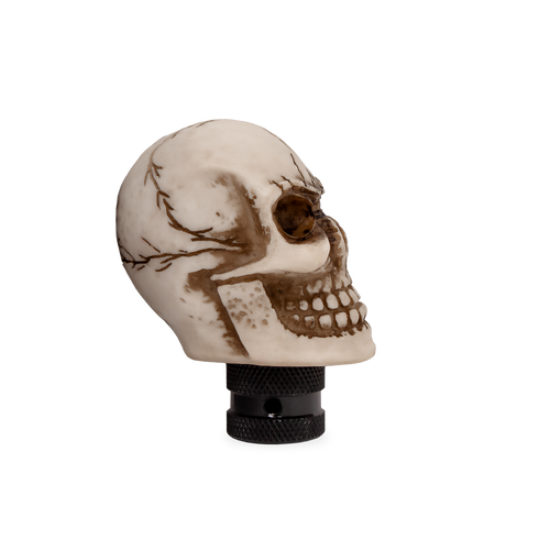 Skull Gear Stick Shift Knob Shifter Lever Handle White