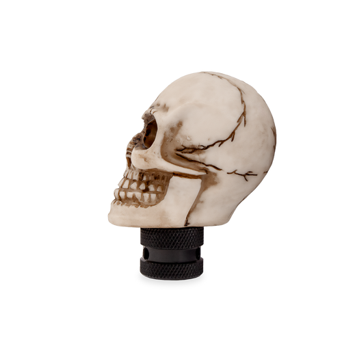 Skull Gear Stick Shift Knob Shifter Lever Handle White