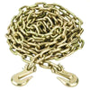 3/8” Chain, Grade 70 with Clevis Hooks, 16 Feet