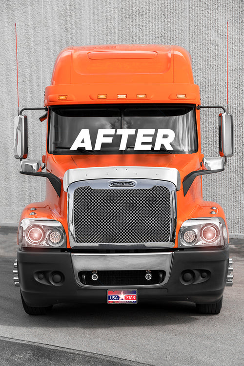 Performance Mesh Style Grille (Freightliner Century) W/ Bugscreen