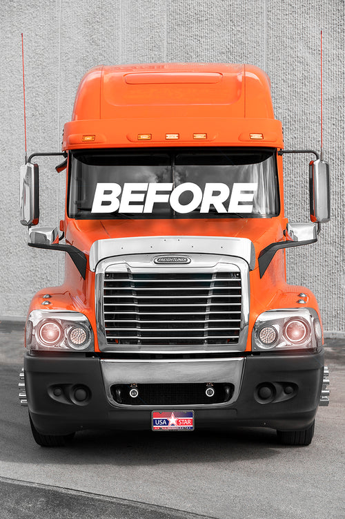 Performance Mesh Style Grille (Freightliner Century) W/ Bugscreen