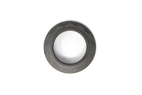 NUT  M45X1.5  -SW55  3853510672, (Each)