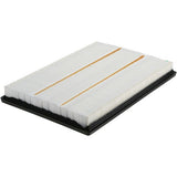 Luber-Finer Air Filter, Dodge Ram Pickup (exc. diesel) (2002-19) (Chrysler 53032404AA) 6xB, Gonz