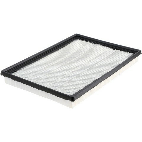 Luber-Finer Air Filter, Dodge Ram Pickup (exc. diesel) (2002-19) (Chrysler 53032404AA) 6xB, Gonz