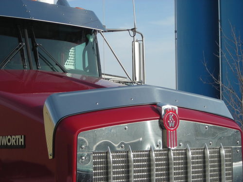 Bug Deflector fits Kenworth T800 Stainless Steel