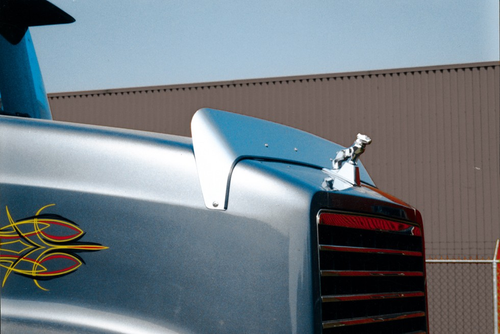 Bug Deflector fits Mack Ch and RD688 Models Stainless Steel