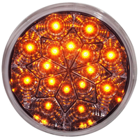 Amber LEDs / Clear Lens