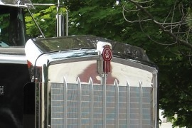 Bug Deflector fits Kenworth 900L