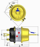 Brake Chamber 30-30 Expo. Gold Color, Spring Brake >>Open Ring<<