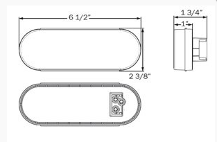 22 LED 6" Oval GloLight (Back-Up)