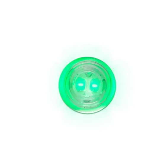 #194/168 LED Light Bulb with 2 High Power 2538 SMD Green