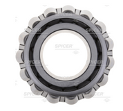 Bearing Cone,  Diff R155 / R156 / R156D