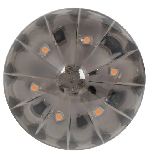 2" Watermelon LED Light in Smoke Lens 6 High power SMD LEDs - 12V