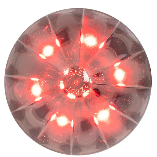 2-1/2" Watermelon LED Light in Smoke Lens 6 High power SMD LEDs - 12V