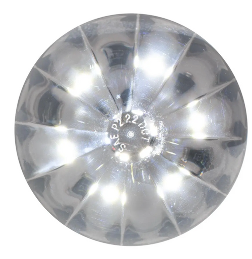 2" Watermelon LED Light in Smoke Lens 6 High power SMD LEDs - 12V