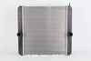 Radiator Plastic Tank Aluminum Core Fits International 3000, 3600, 3800, 4100-4400 Series