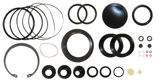 Power Steering Pump Rebuild Kit M100 Master Gear