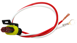 Weathertight 2-wire pigtail, plug to bare wire, 10" leads, 0.21" ID eyelet on ground