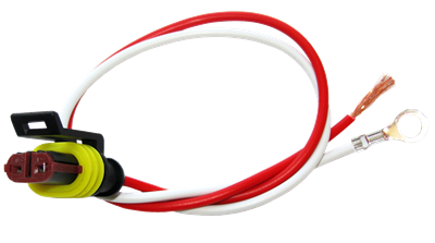 Weathertight 2-wire pigtail, plug to bare wire, 10" leads, 0.21" ID eyelet on ground