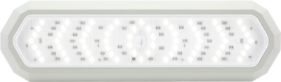 Opti-Brite LED Dome Lights 2000 lm WHITE  (1500 effective) 12V